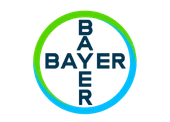 Productos Bayer para control de termitas en Quintana Roo